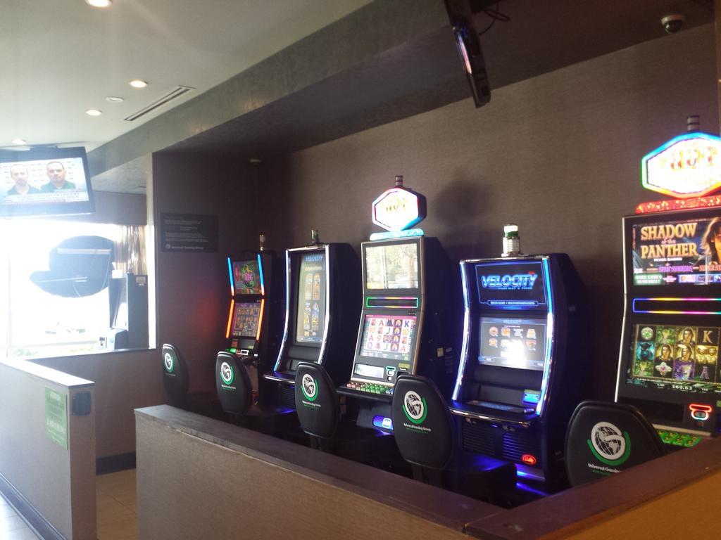 Wyndham Garden Elk Grove Village - O'Hare Extérieur photo